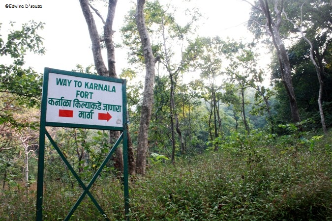 Karnala Bird Sanctuary & Fort – Excellent Trek but no Birds