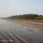 beaches in maharashtra