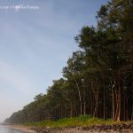 beaches in maharashtra