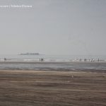 beaches in maharashtra