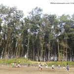 beaches in maharashtra