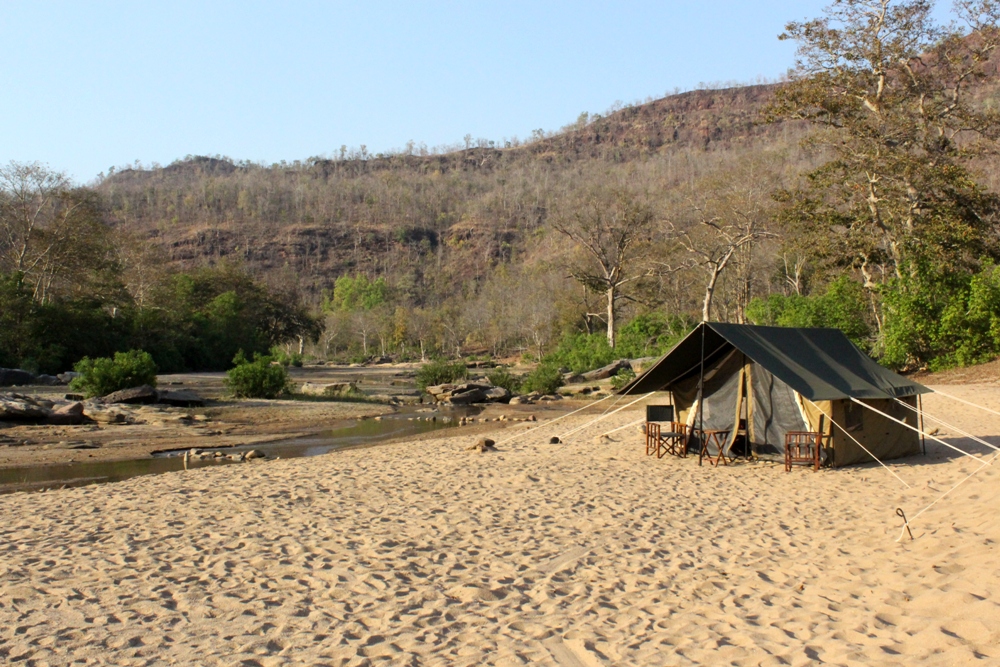 Camping in the Satpura tiger reserve