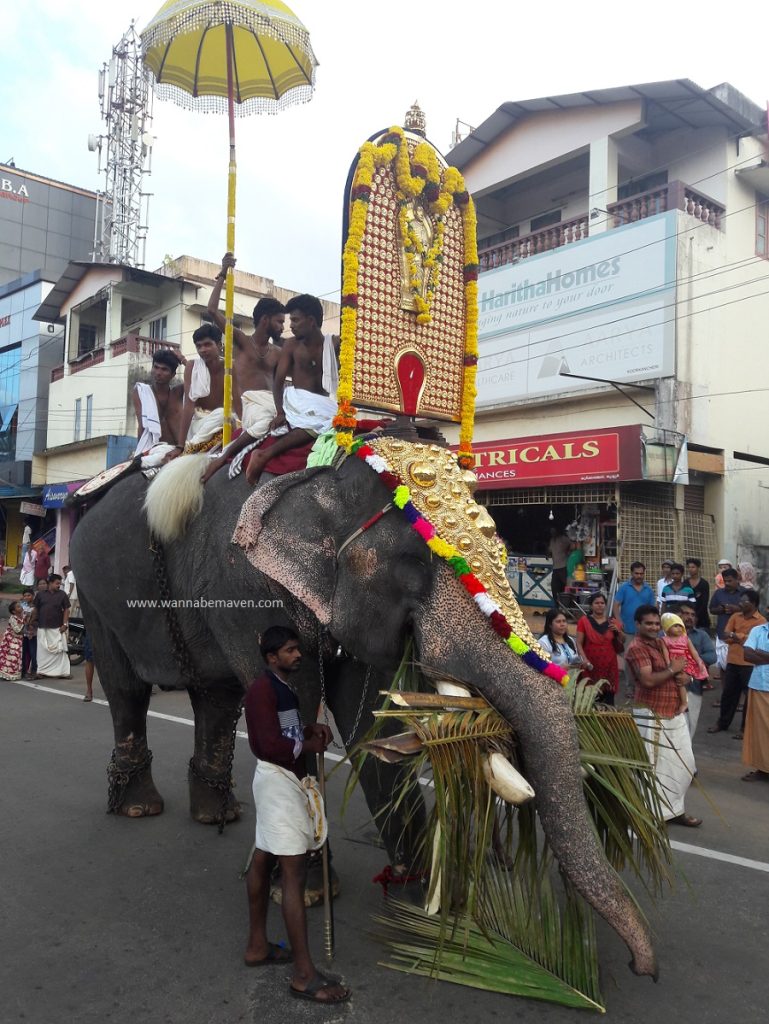 Kerala during Onam - Thrissur