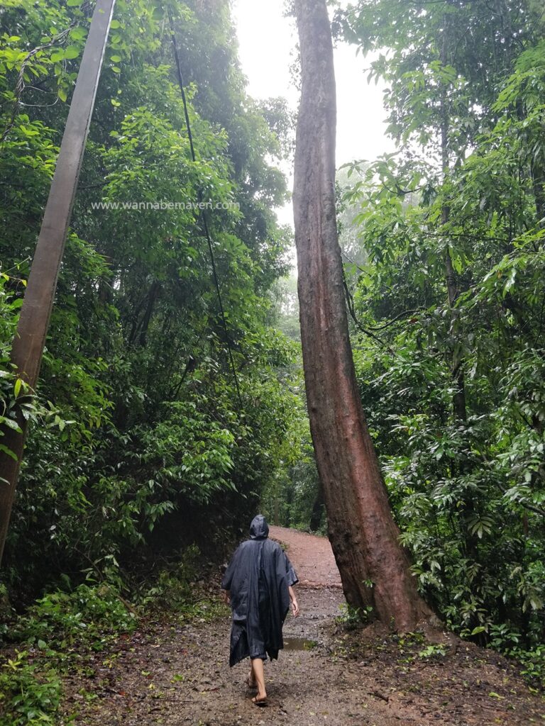 Yana Caves in Karnataka