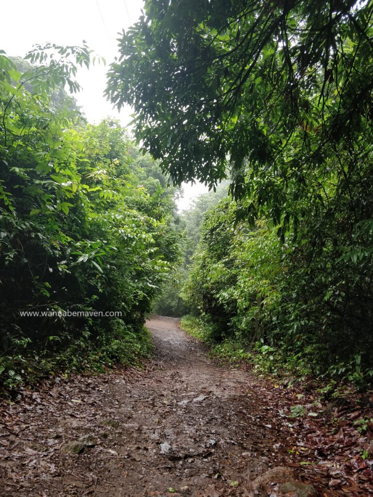 Yana Caves in Karnataka