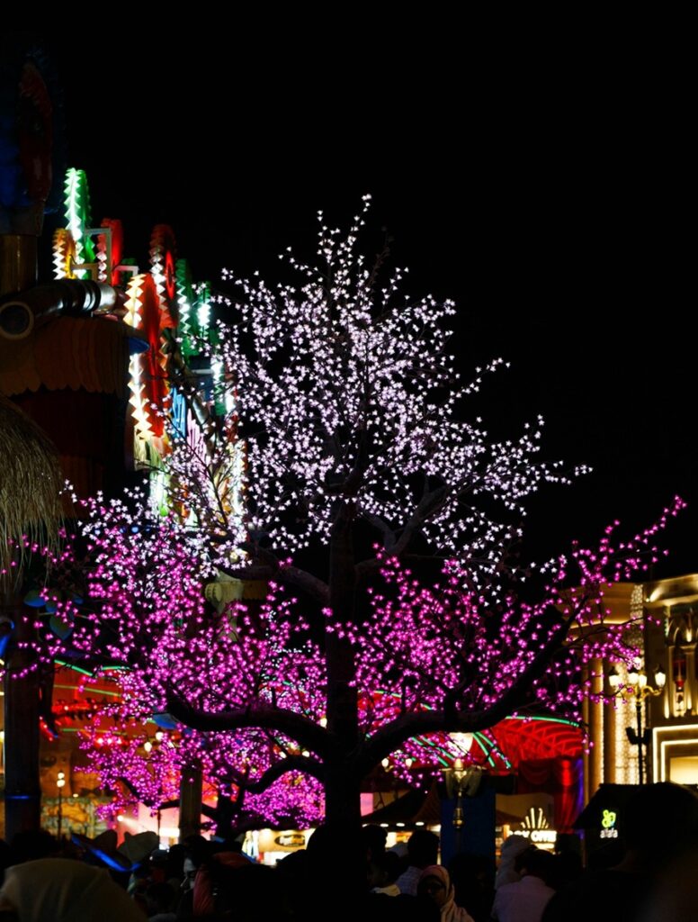 Dubai travel guide for Indians